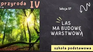 Przyroda klasa 4 [Lekcja 37 - Las ma budowę warstwową]