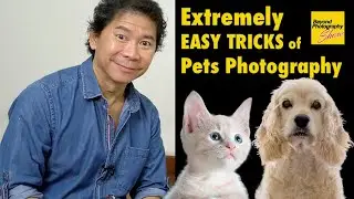 Extremely EASY TRICKS of Pets Photography !!!