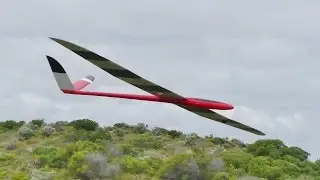 Predator Part 2: dynamic soaring