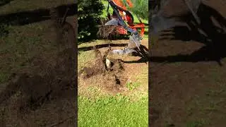 Using my mini excavator and a Root Ripper to tear out stumps is as easy as 1, 2, 3!