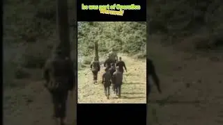 Executed at 16 - The Real Story of Heinz Petry&rsquo;s Final Moments