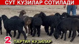 ТАКА ПУЛИГА ОЛИНГ! ☎️+998 99 985 6704