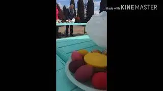 #VLOG|Дедлово наступление Пасхи