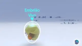 Laser Life   Revolucion&aacute;rio Sistema de Ovoscopia   Ceva Sa&uacute;de Animal