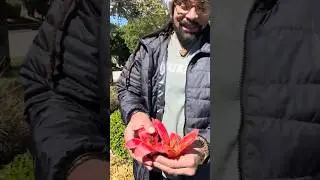 Вы когда-нибудь извлекали уроки из общения с природой?