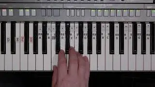 Zebrasamba hel