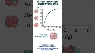 Clinical Cuts: Oxygen-hemoglobin dissociation curve