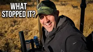 His First Buck Hunt &ndash; But Something Unexpected Stopped the Shot!