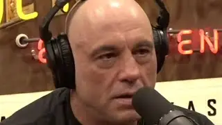 Joe Rogan On The Insanity Of Trump