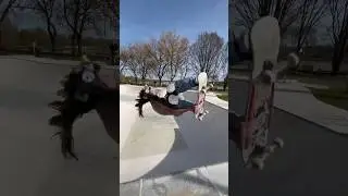 Mctwist tour Nevers #skateboarding #mctwist #nevers #vatosskateboard