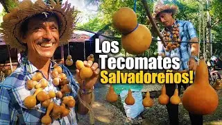 Los famosos Tecomates de El Salvador! preservemos nuestra cultura! San Juan Opico!