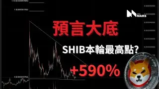 柴犬幣經典抄底回顧！SHIB未來目標價格？#shib