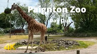 Paignton Zoo - Day Out