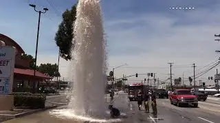 Hydrant Hit & Run / South Gate  RAW FOOTAGE