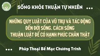 SKTTN | Những Quy Luật Của Vũ Trụ & Tác Động Đến Đời Sống. Sống Thuận Luật Để Có Hạnh Phúc Chân Thật