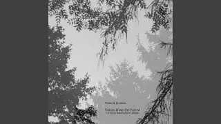 Nadelwald (Aura Minimum Ethereal Remix)