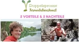 Fermentation | 5 Vorteile und 5 Nachteile