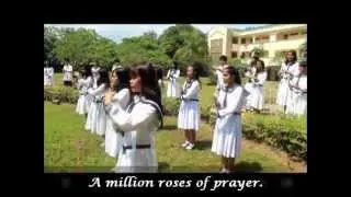 A Million Roses for the World.wmv