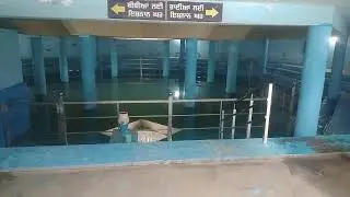 Taktshri Damdama Sahib Gurudwara, Talwandi sabo, Punjab #peacefulvibes