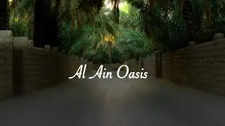 Alain Oasis - walkthrough