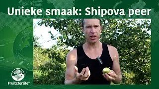 Unieke smaak: Shipova peer