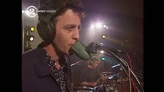 Morphine - Sharks (live, 1994)