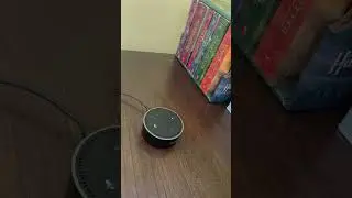 When you change the Wi-Fi password on Alexa