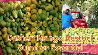Dasheri Aam Mango King of Fruit India A Day in My Life Restock Sunday Reset