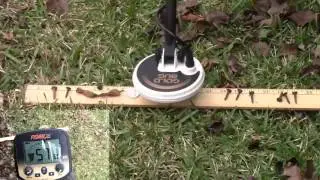 Fisher Gold Bug Pro - Whites DFX - Tesoro Vaquero vs Iron Masking