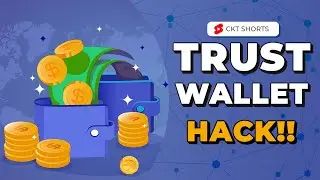 Trust Wallet Hack!! 👀 || Don&rsquo;t Panic || Follow these procedures!!  Explained in tamil