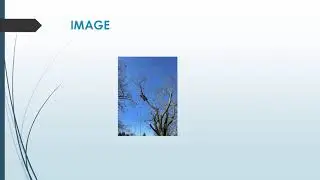 Best Tree Pruning Services in Arkel