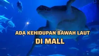 Jakarta bercerita melihat hiu dalam mall 