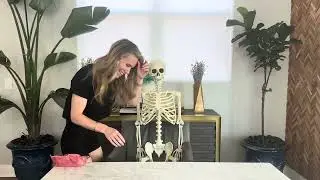 LINAYE 5.4FT Life Size Halloween Skeleton Posable Easy Assembly Demo #ad