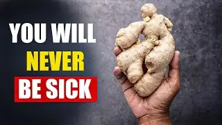 Secrets of ginger. 10 Amazing Benefits for Your Health. 2023