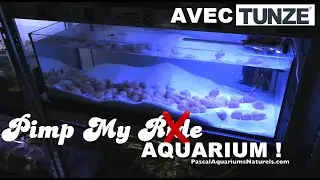 Update aquarium cichlid&eacute; ! Comline Nanofilter & LED EcoChic - pimp my Pascal Aquariums Naturels