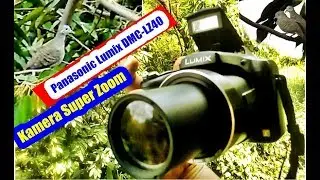 Kamera Panasonic Super Zoom | Mengamati Burung Derkuku Dengan Lumix DMC-LZ40