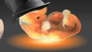 How Cloning Works: Narrated by Glowing Baby Fetus