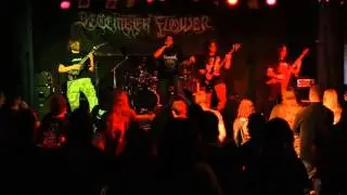 December Flower - Life Ends - live at 