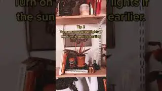 Fall house plant Tips!