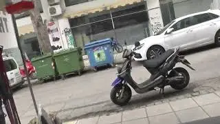 ΚΑΝΑΡΙΝΙΑ ΠΑΡΑΛΑΒΗ 2025