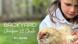 Backyard Chicken Chats S1 Ep 08