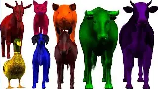 Learn Colors Wild With Farm Animals Coloruful Colors For Chilren ||Names And Sounds For Kids