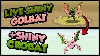 LIVE Shiny Golbat in LeafGreen After 3,580 Encounters + Shiny Crobat Evolution!