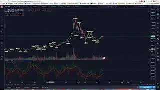 Crypto Cow Mining Farm Business Module 5