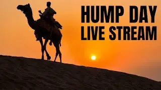 Live Music Reactions: Hump Day  (Anything Goes)