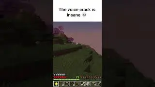 so cringe #minecraft #minecraftmemes #mcyt #smp #roleplay #memes #funny