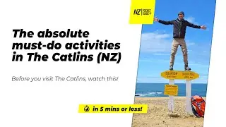 🗺️ The absolute must-do activities in The Catlins NZ - NZPocketGuide.com