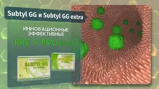 Subtyl GG ( RU )