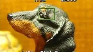 Canon SD850