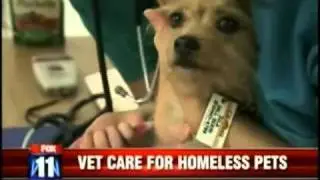 HoPe Veterinary Center on KTTV Fox11 - Los Angeles, CA